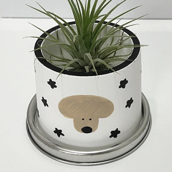 무화과팟 mini pot series - 3 types