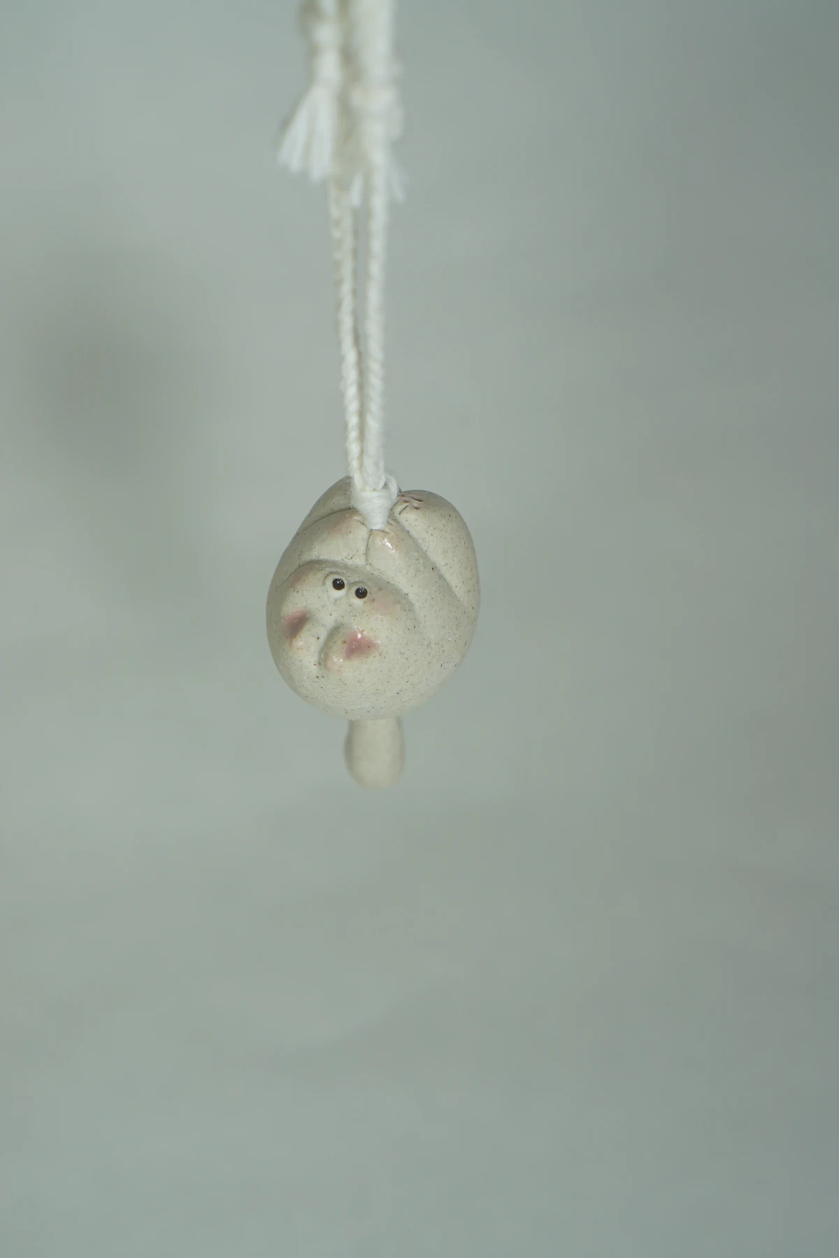 [CHUNKYZ] miniCAT_hanging object (UP)