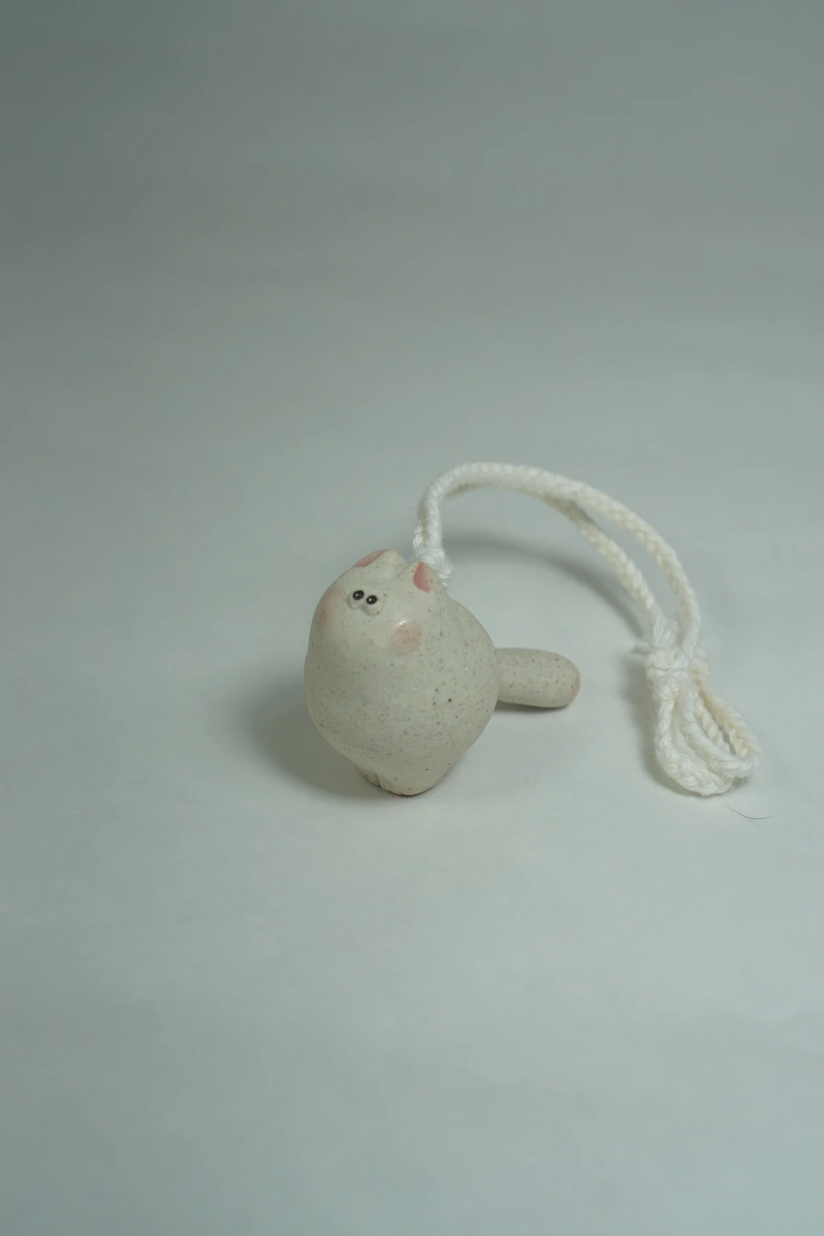 [CHUNKYZ] miniCAT_hanging object(MOON)