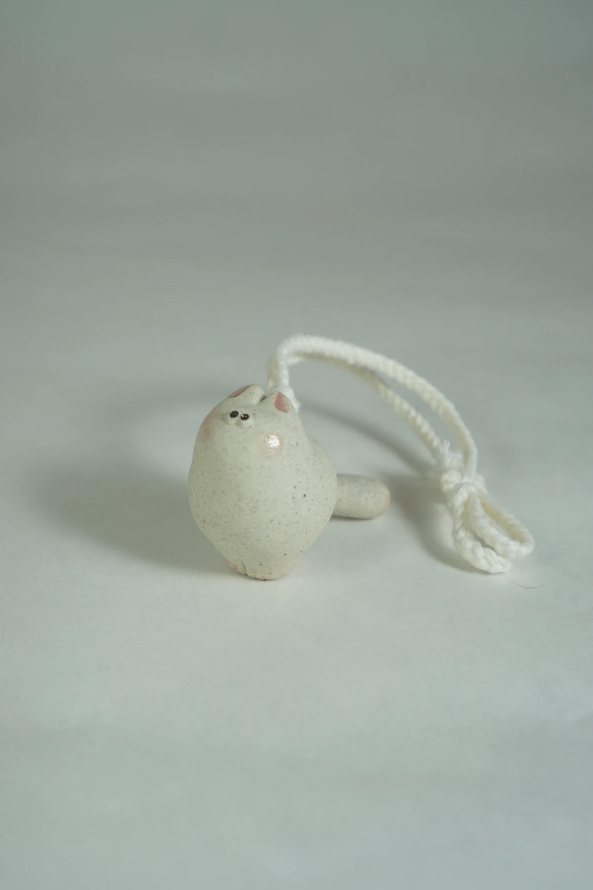 [CHUNKYZ] miniCAT_hanging object(MOON)